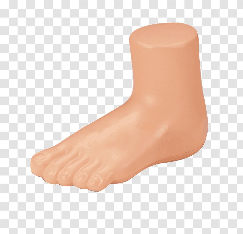 Foot Mannequin Shoe Sock Sandal - Cartoon - Feet Transparent PNG