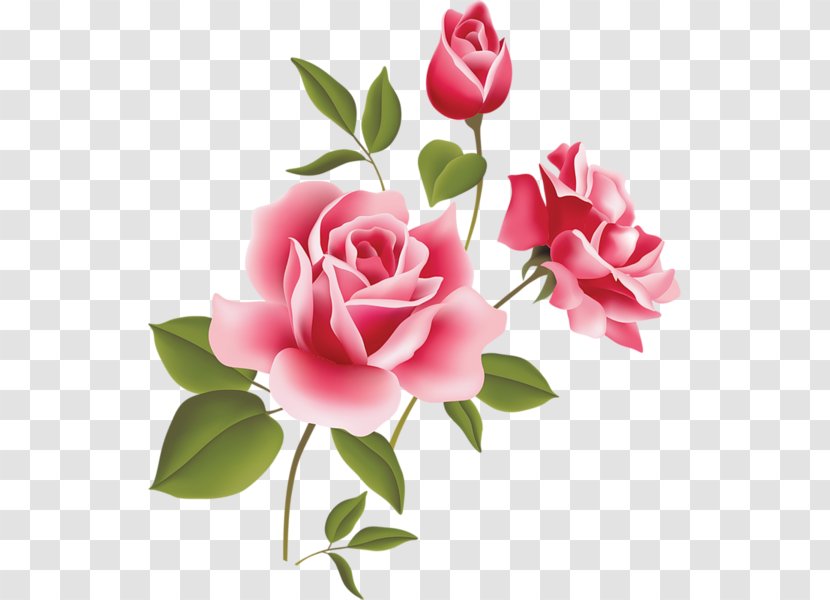 Rose Pink Free Content Clip Art - Plant Stem - Flower Cliparts Transparent PNG