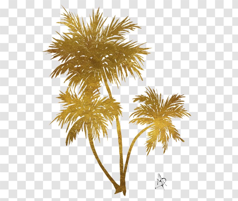 Asian Palmyra Palm Arecaceae Gold Painting Art - Date Transparent PNG