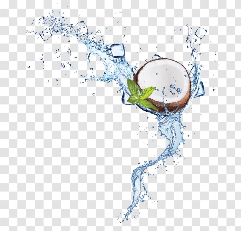 Clip Art Illustration /m/02csf Water Drawing - Point Transparent PNG