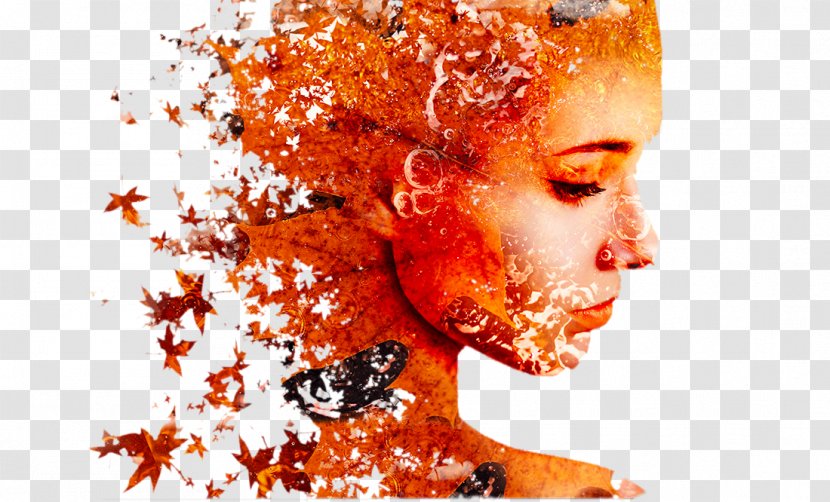 Multiple Exposure Portrait Illustration - Frame - Creative Woman Face Maple Leaf Transparent PNG