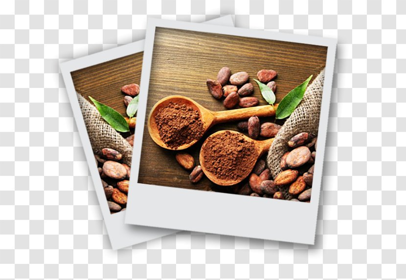 Cocoa Bean Cacao Tree Solids Dark Chocolate - Cake Transparent PNG