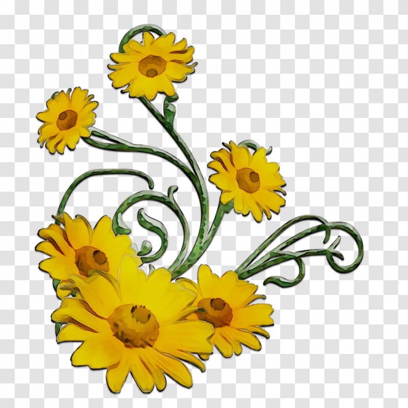 Common Sunflower Chrysanthemum Floral Design Cut Flowers Oxeye Daisy - Mayweed - Transvaal Transparent PNG