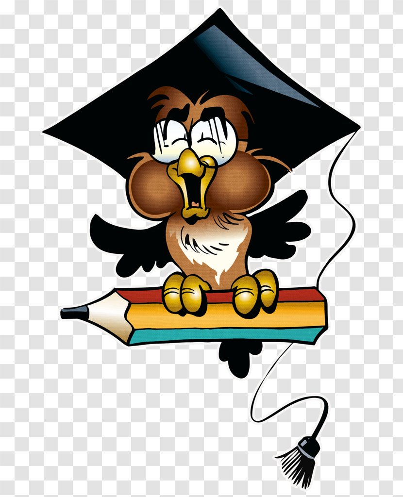 Certificate Background - Graduate University - Cartoon Bird Of Prey Transparent PNG