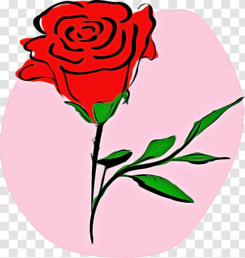 Garden Roses - Rose - Family Plant Transparent PNG