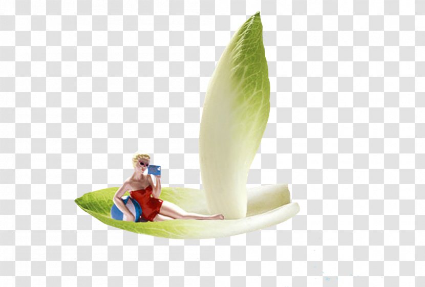 Clip Art - Watercolor - Vegetable Beauty Sitting On Board Transparent PNG