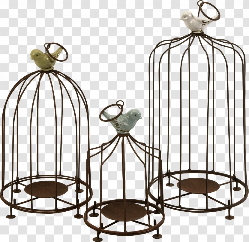 Birdcage Candle Owl - Bird Transparent PNG