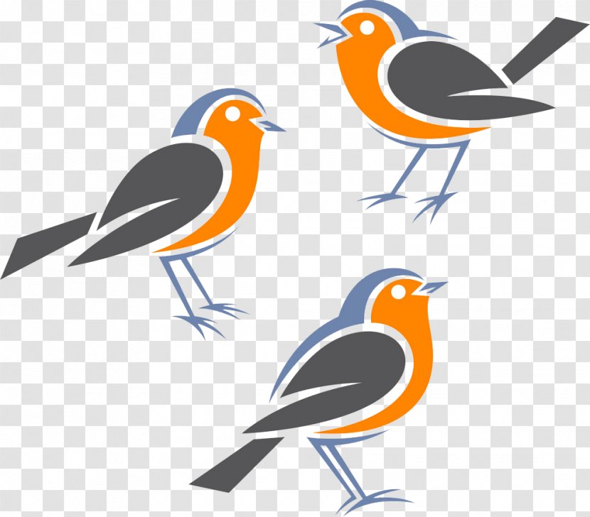 European Robin Bird American - Sparrow Graphic Design Transparent PNG