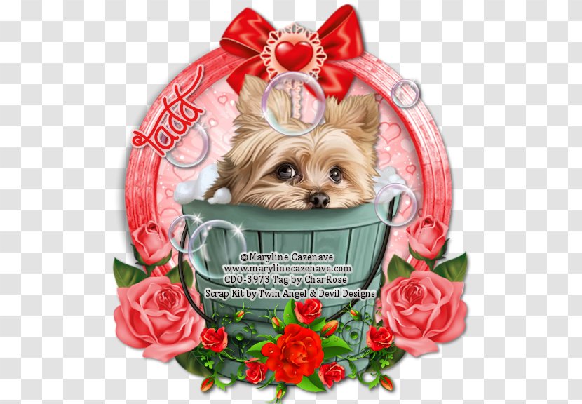 Yorkshire Terrier Cairn Morkie Puppy - Love - Lovely Transparent PNG