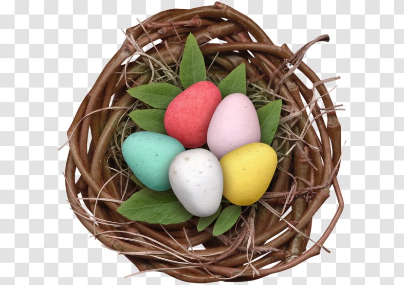 Easter Egg Bird Nest - Box Transparent PNG