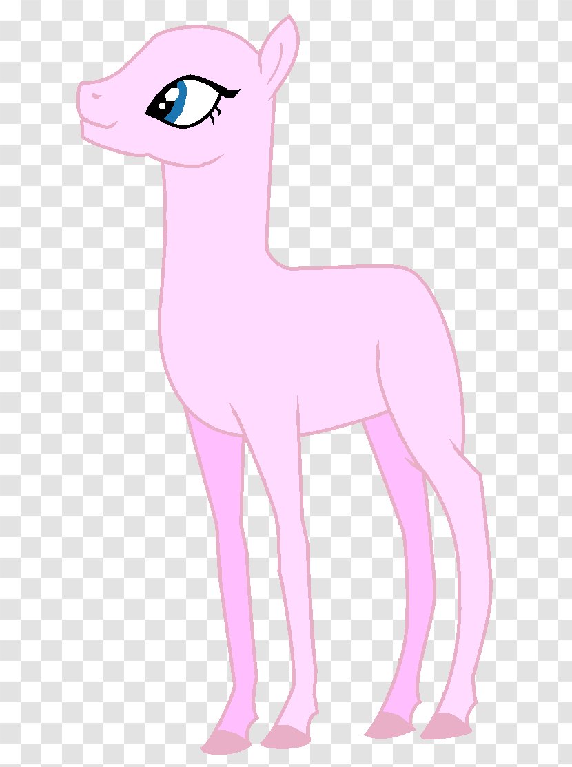 My Little Pony Arabian Horse Camel - Silhouette - Unicorn Head Transparent PNG