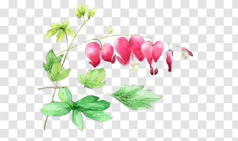 Image Vector Graphics Illustration Canvas Watercolor Painting - Leaf - Floral Decoration Transparent PNG