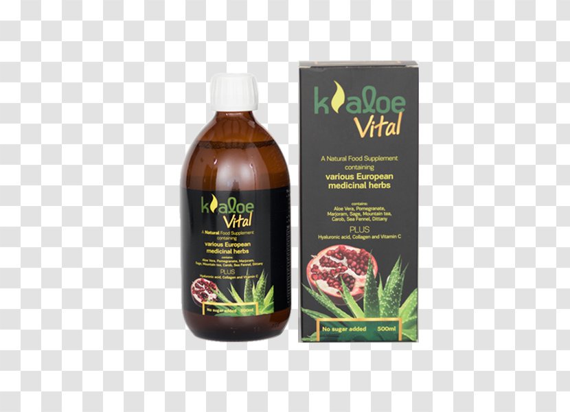 Aloe Vera Collagen Hyaluronic Acid Gel Food - Aloes Transparent PNG