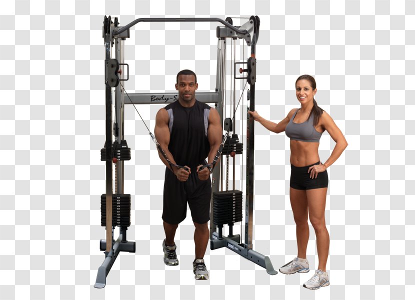 Functional Training Exercise Equipment Strength - Tree - Physical Flexibility Transparent PNG