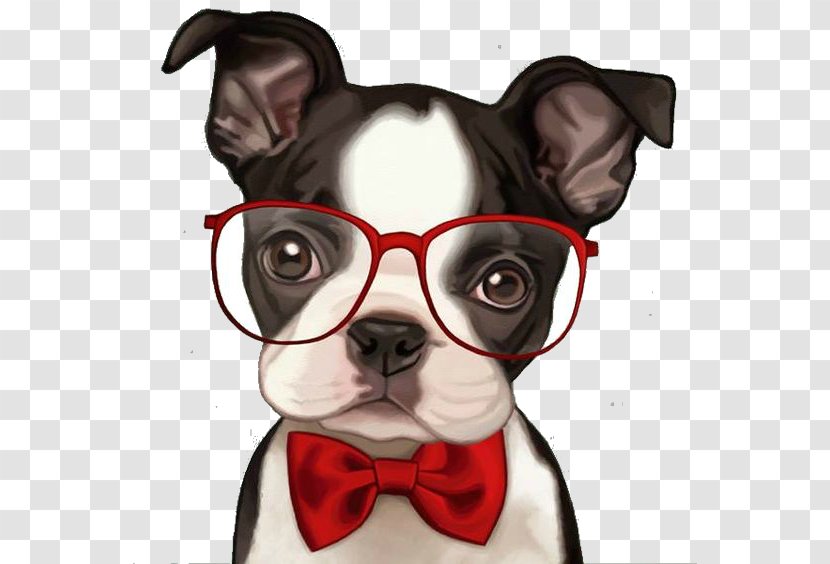 French Bulldog Boston Terrier Pug Puppy Transparent PNG