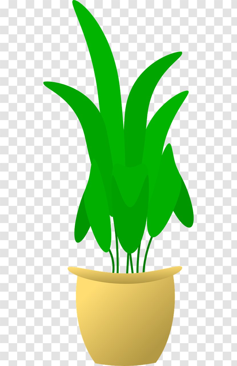 Flowerpot Plant Clip Art - Organism Transparent PNG