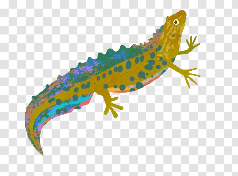 Lizard Painting Illustration - Art - Cartoon Crawling Transparent PNG