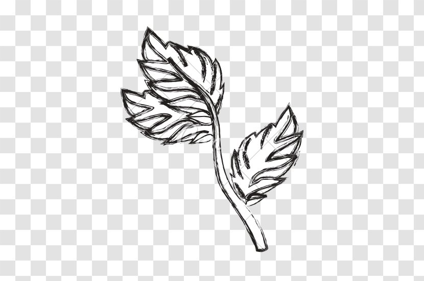 Drawing Black And White Line Art - Royaltyfree - Mint Leaf Transparent PNG