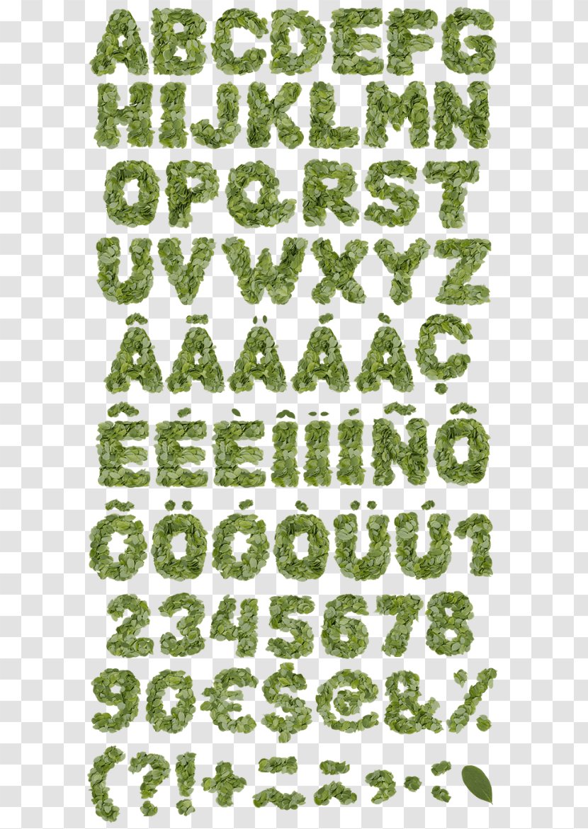 Typeface Alphabet Email Font - Tree - Summer Vibes Transparent PNG