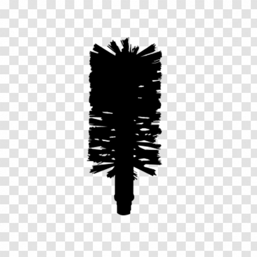 Tree Font Brush Black M - Plant - Pine Family Transparent PNG