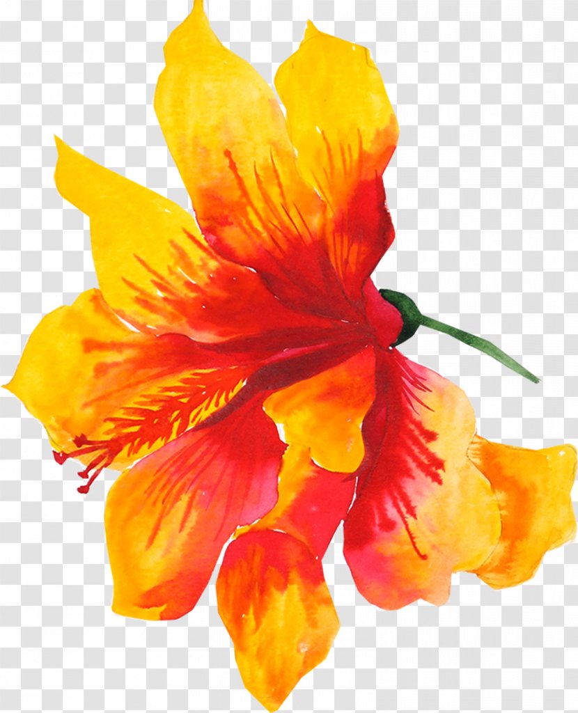 Flower Yellow Watercolor Painting Drawing - Color - Aloha Transparent PNG