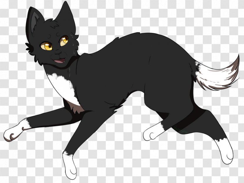 Cat Whiskers Mammal Dog Carnivora - Fictional Character - Sots Transparent PNG