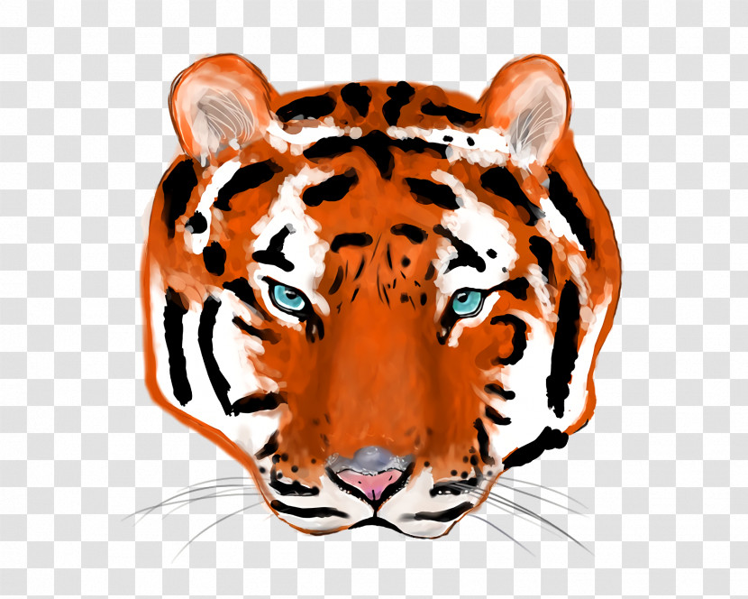 Tiger Whiskers Snout Cat Font Transparent PNG