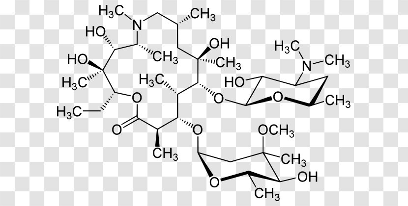 Macrolide Erythromycin Roxithromycin Antibiotics Azithromycin - Watercolor - Carl Sagan Transparent PNG