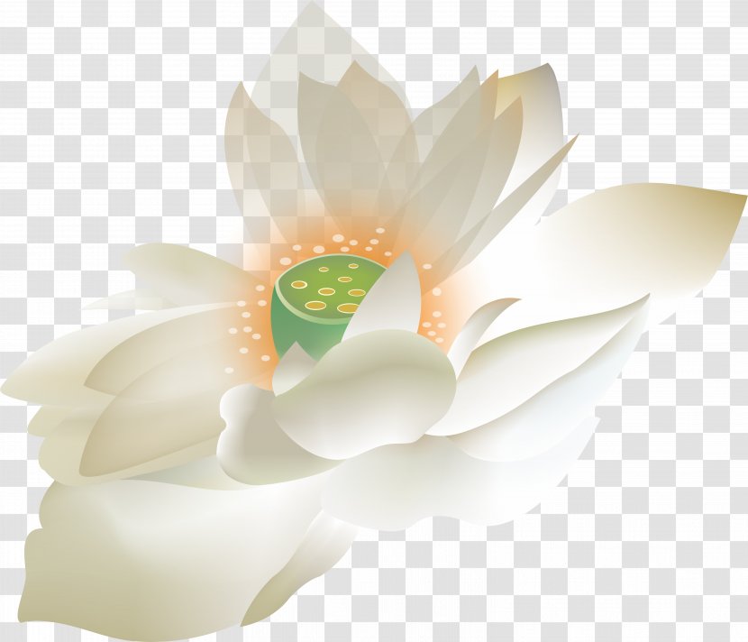 Floral Design Petal Computer Wallpaper - Flower Arranging - Lotus Transparent PNG