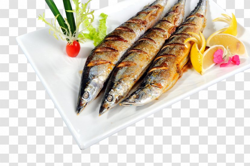 Pacific Saury Barbecue Seafood Japanese Cuisine Capelin - Oily Fish - Material Transparent PNG