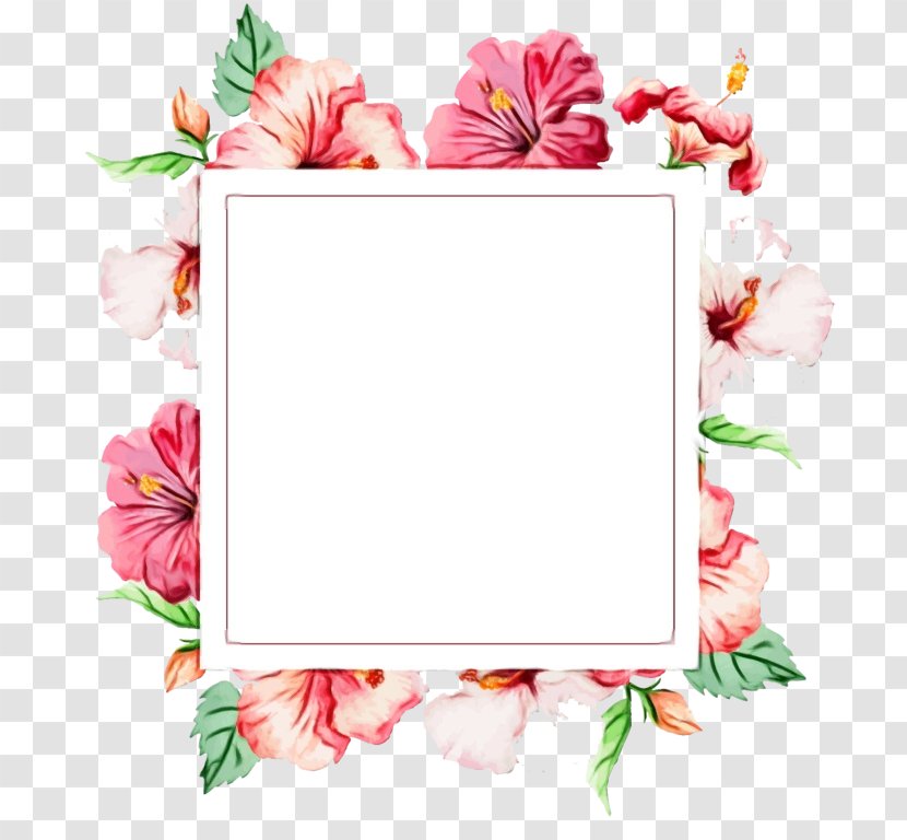 Pink Background Frame - Plant Transparent PNG