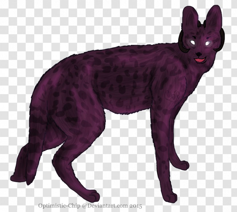Whiskers Cat Digital Art Red Fox - Small To Medium Sized Cats Transparent PNG