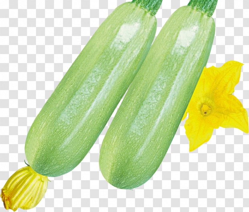 Pickled Cucumber Pepino - Gourd And Melon Family Transparent PNG