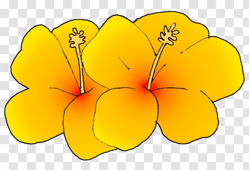 Flower Yellow Royalty-free Clip Art - Seed Plant - Hibiscus Transparent PNG