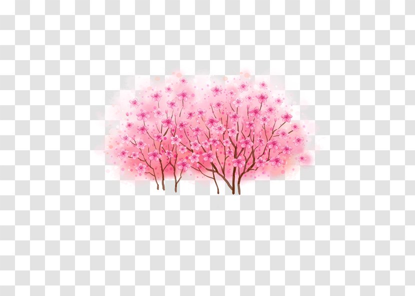 Peach Tree Cartoon - Plum Flower Transparent PNG