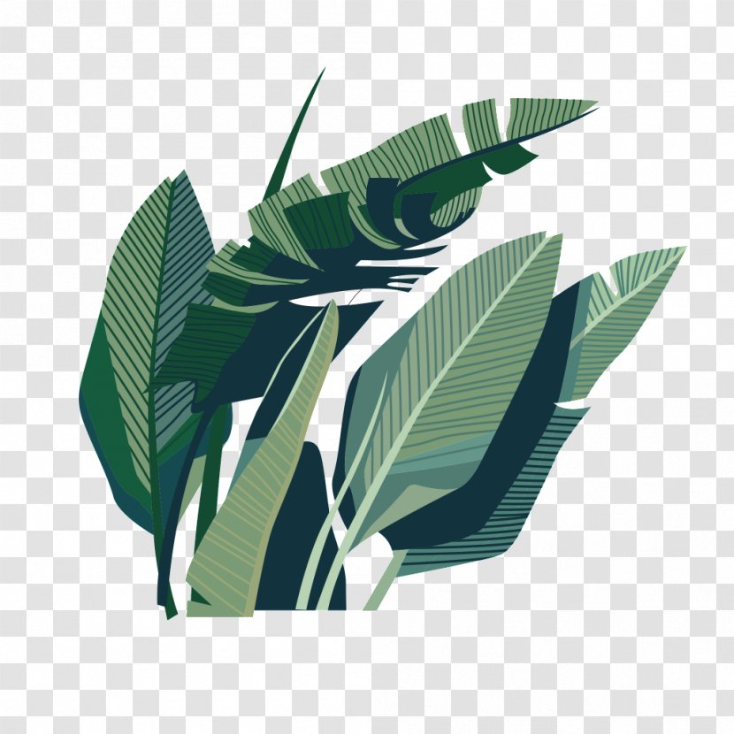 Leaf Coconut Illustration - Art - Green Leaves Transparent PNG