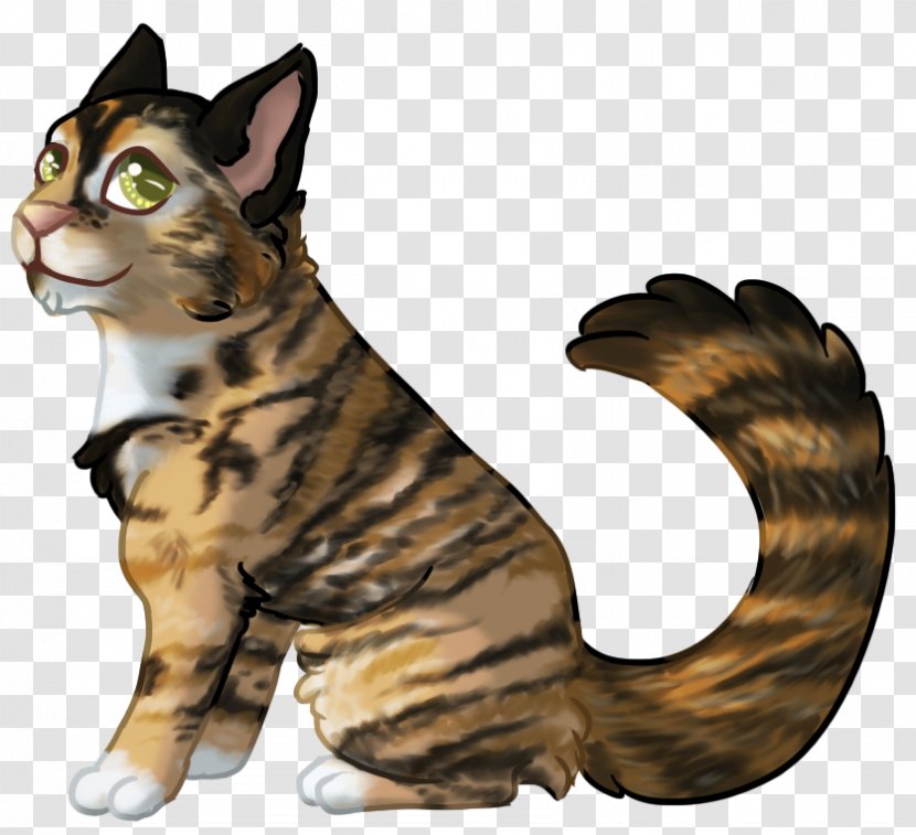 Whiskers Bengal Cat Tabby Domestic Short-haired Fur - Like Mammal - Claw Transparent PNG