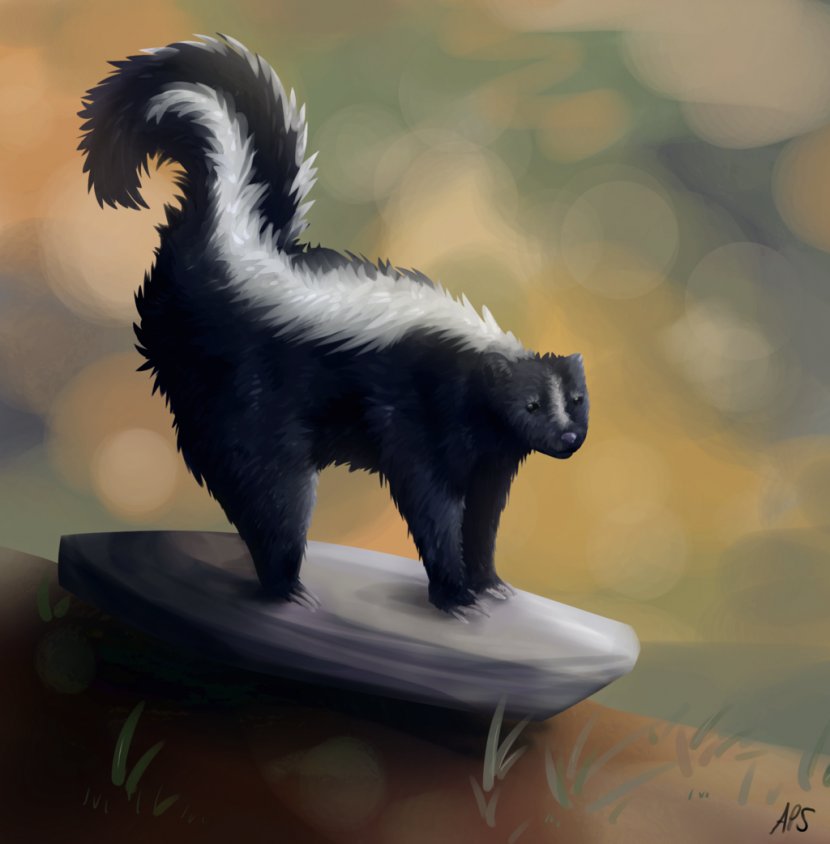 Drawing DeviantArt Digital Art Animal - Skunk Transparent PNG