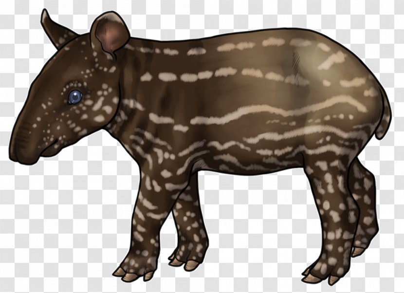 Tapir Snout Terrestrial Animal Fur Carnivora - Mammal - Fauna Transparent PNG