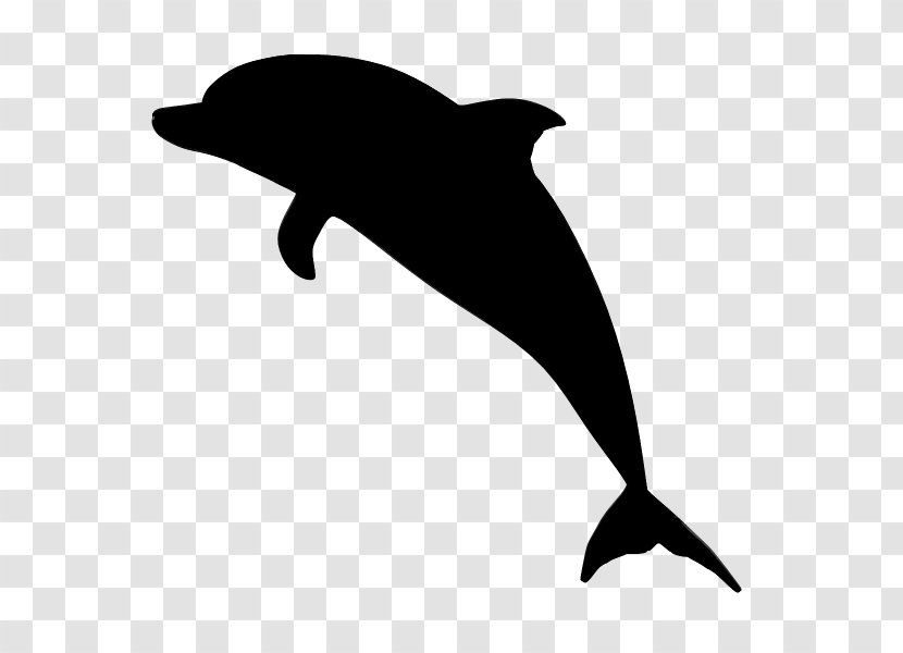 Common Bottlenose Dolphin Image Clip Art - Oceanic - Marine Mammal Transparent PNG