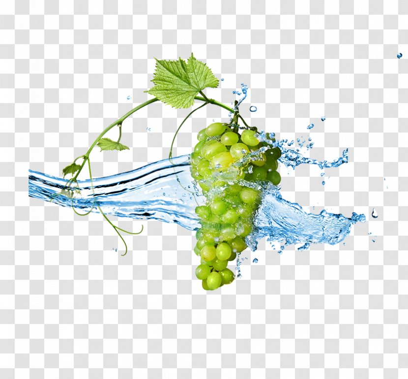 Grape Stock Photography Fruit Berry Wallpaper - Green Grapes Transparent PNG