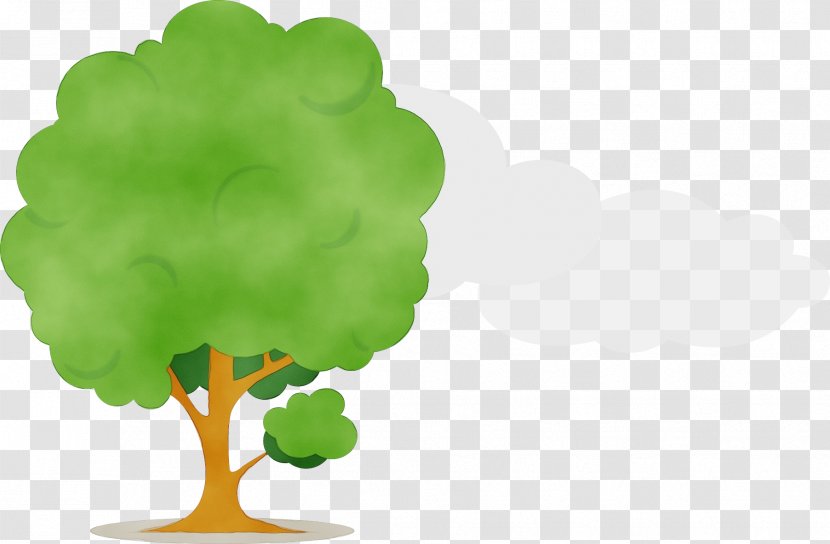 Tree Green Leaf Meter - Vegetable Arbor Day Transparent PNG