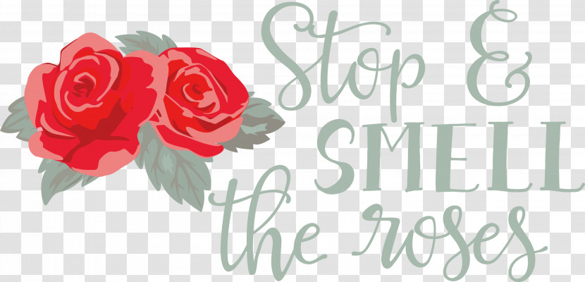 Rose Stop And Smell The Roses Transparent PNG