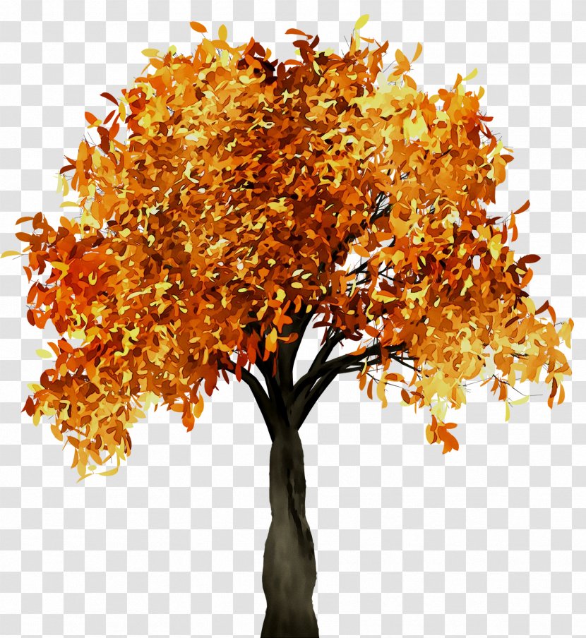 Fall Tree Branch Trunk - Amber - Autumn Transparent PNG