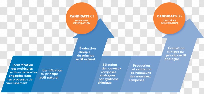 Strategy Biophytis Screening Economic Development Research - Communication - Organization Transparent PNG