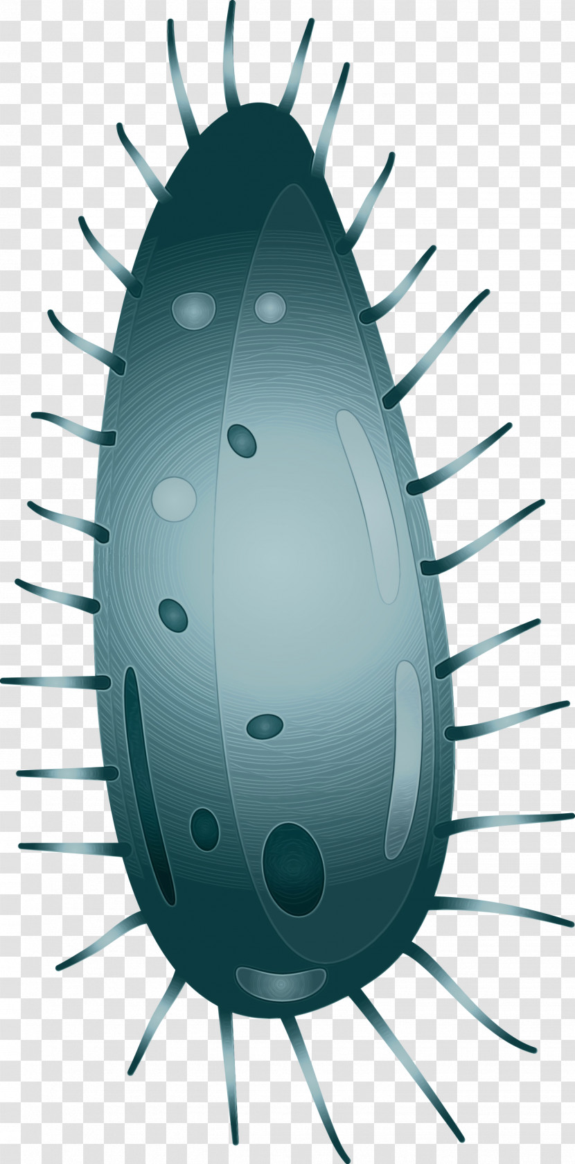 Insect Cockroach Pest Metal Transparent PNG