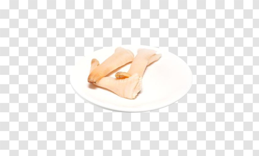 Clam Mussel Pacific Geoduck - Search Engine - Free Image Buckle Transparent PNG