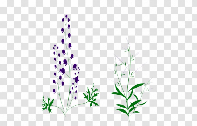 Lavender Grasses Plant Stem Leaf Font - Grass Transparent PNG