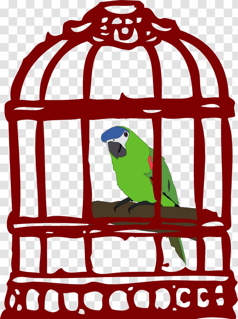 Parrot Clip Art Birdcage Openclipart Transparent PNG