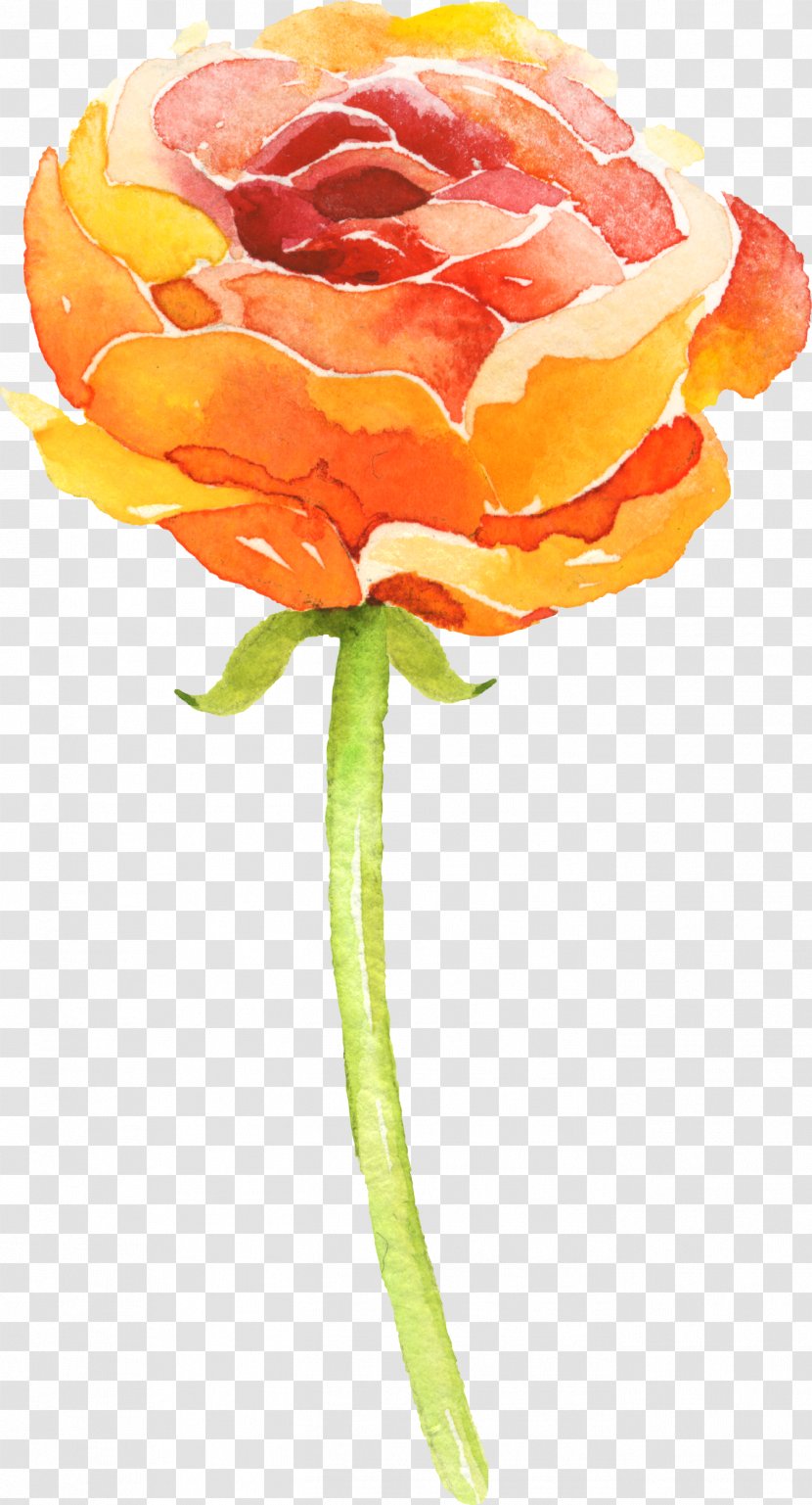 Watercolor Painting Art Drawing Image - Rose Transparent PNG